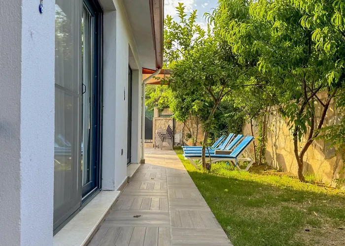 Talia * 库萨达斯